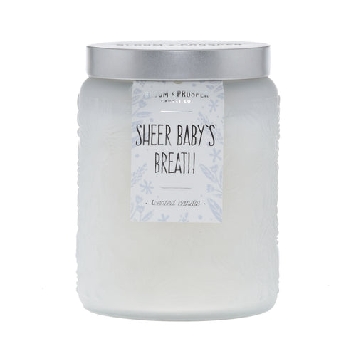 Sheer Baby's Breath